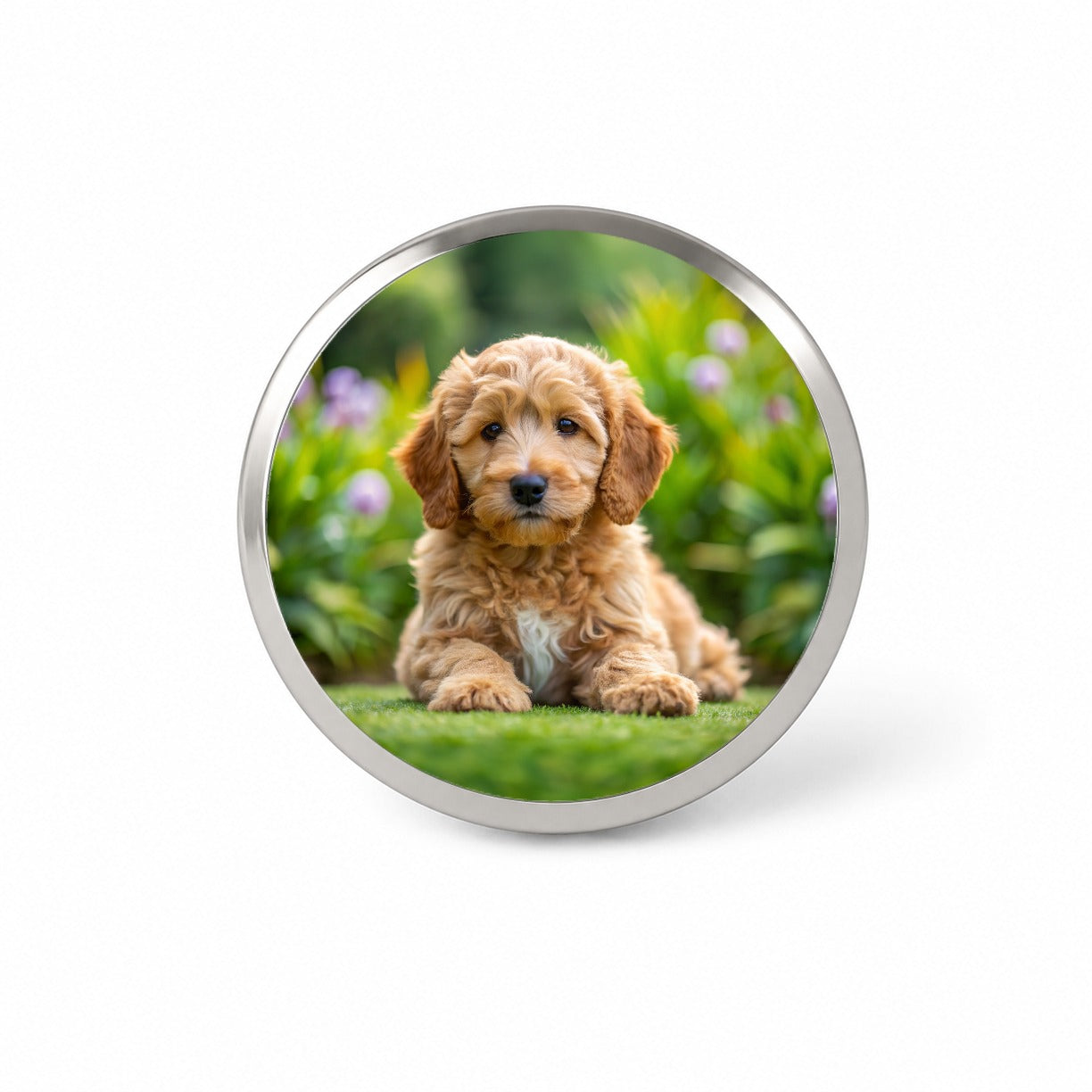 Labradoodle Dog Puppy Photo Novelty Hat Backpack Lapel Pin