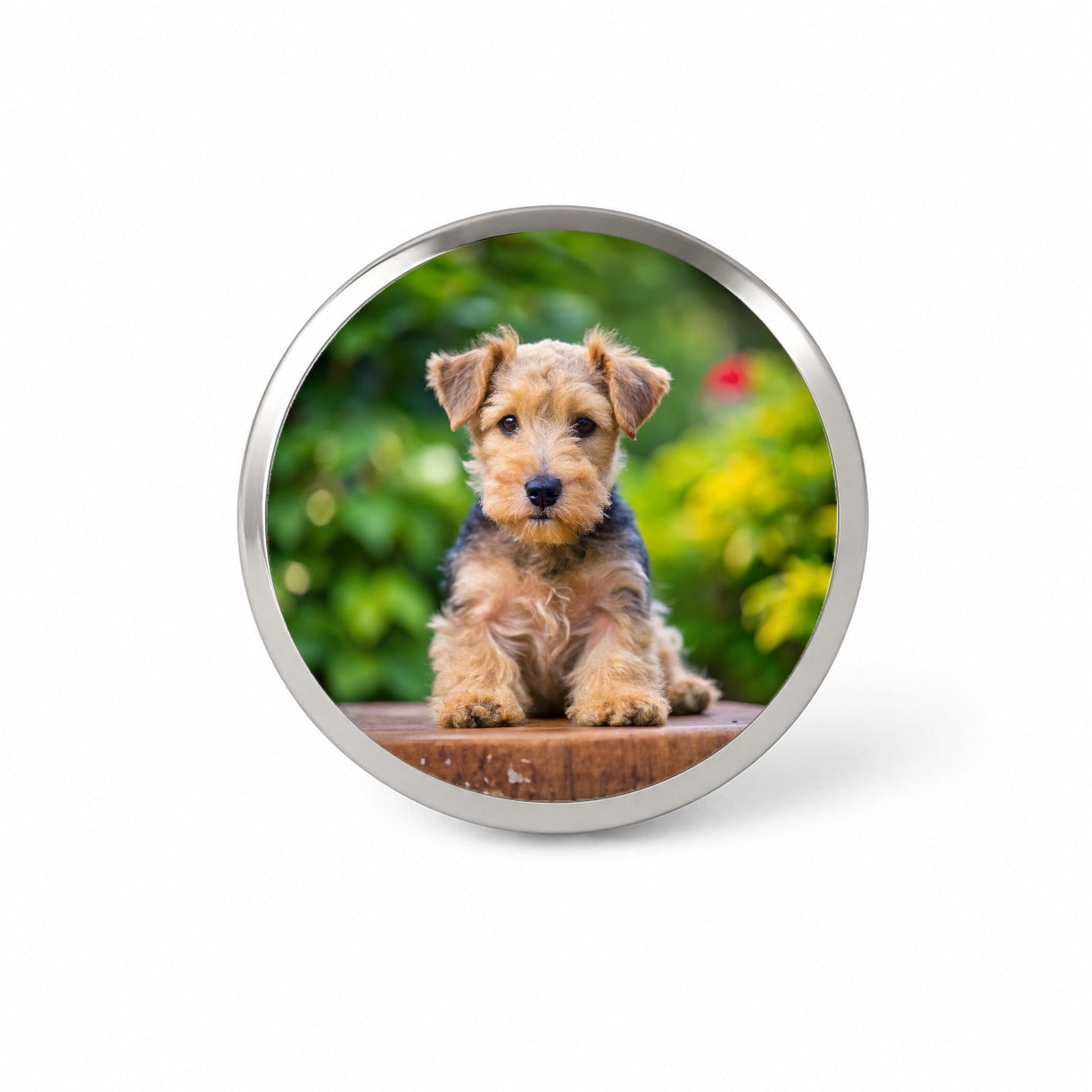 Lakeland Terrier Dog Puppy Photo Novelty Hat Backpack Lapel Pin