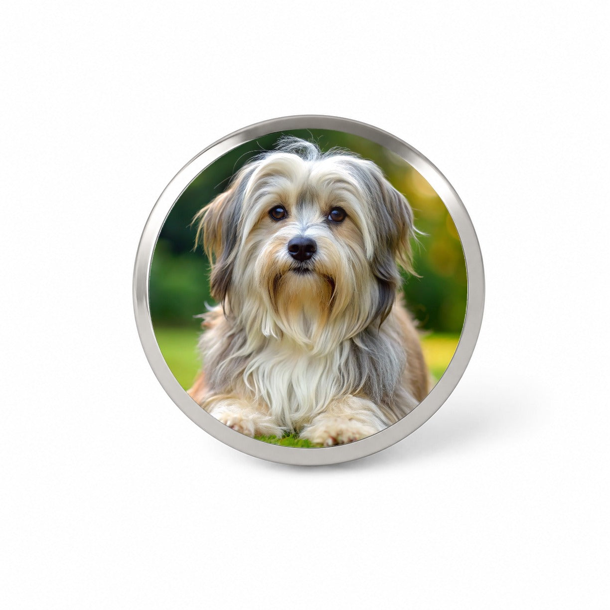 Lowchen Little Lion Dog Photo Novelty Hat Backpack Lapel Pin