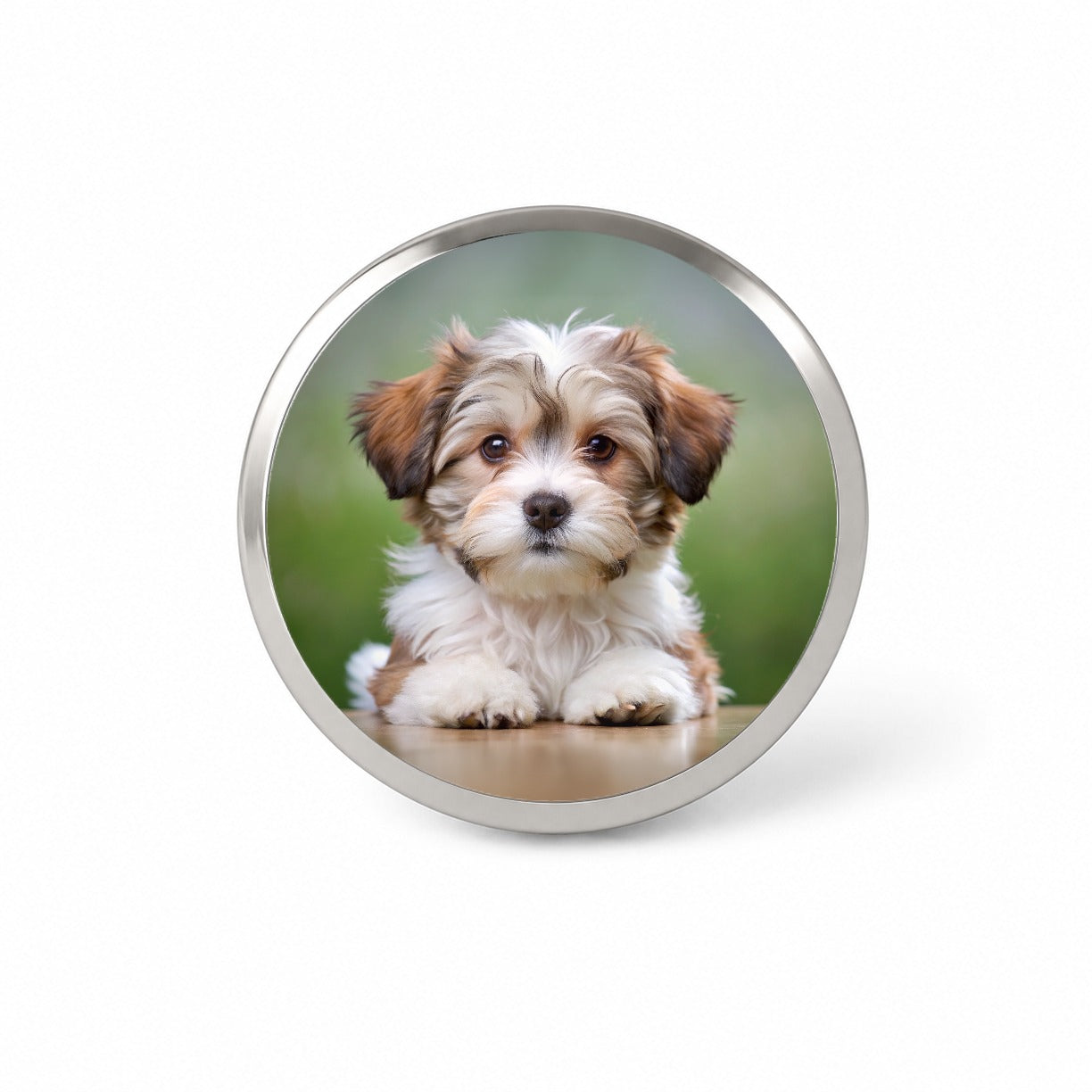 Lowchen Little Lion Dog Puppy Photo Novelty Hat Backpack Lapel Pin