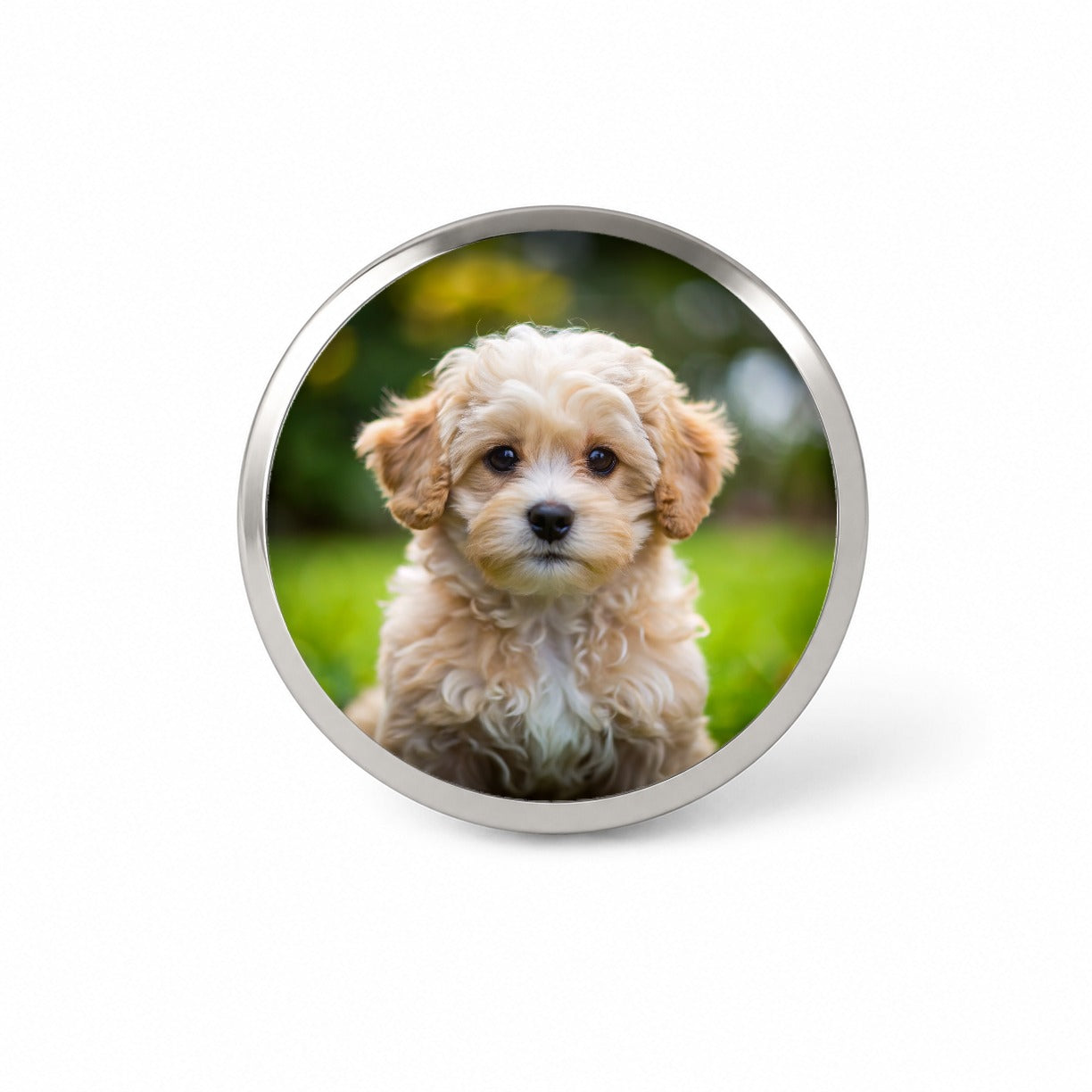 Maltipoo Dog Puppy Photo Novelty Hat Backpack Lapel Pin