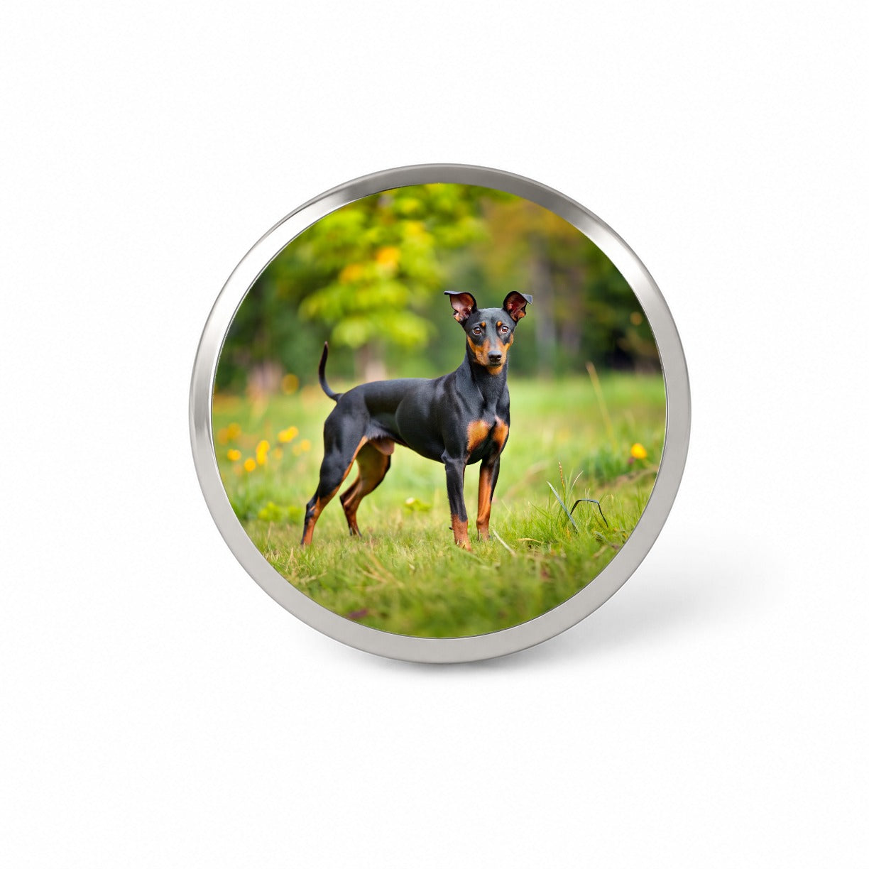 Manchester Terrier Dog Photo Novelty Hat Backpack Lapel Pin