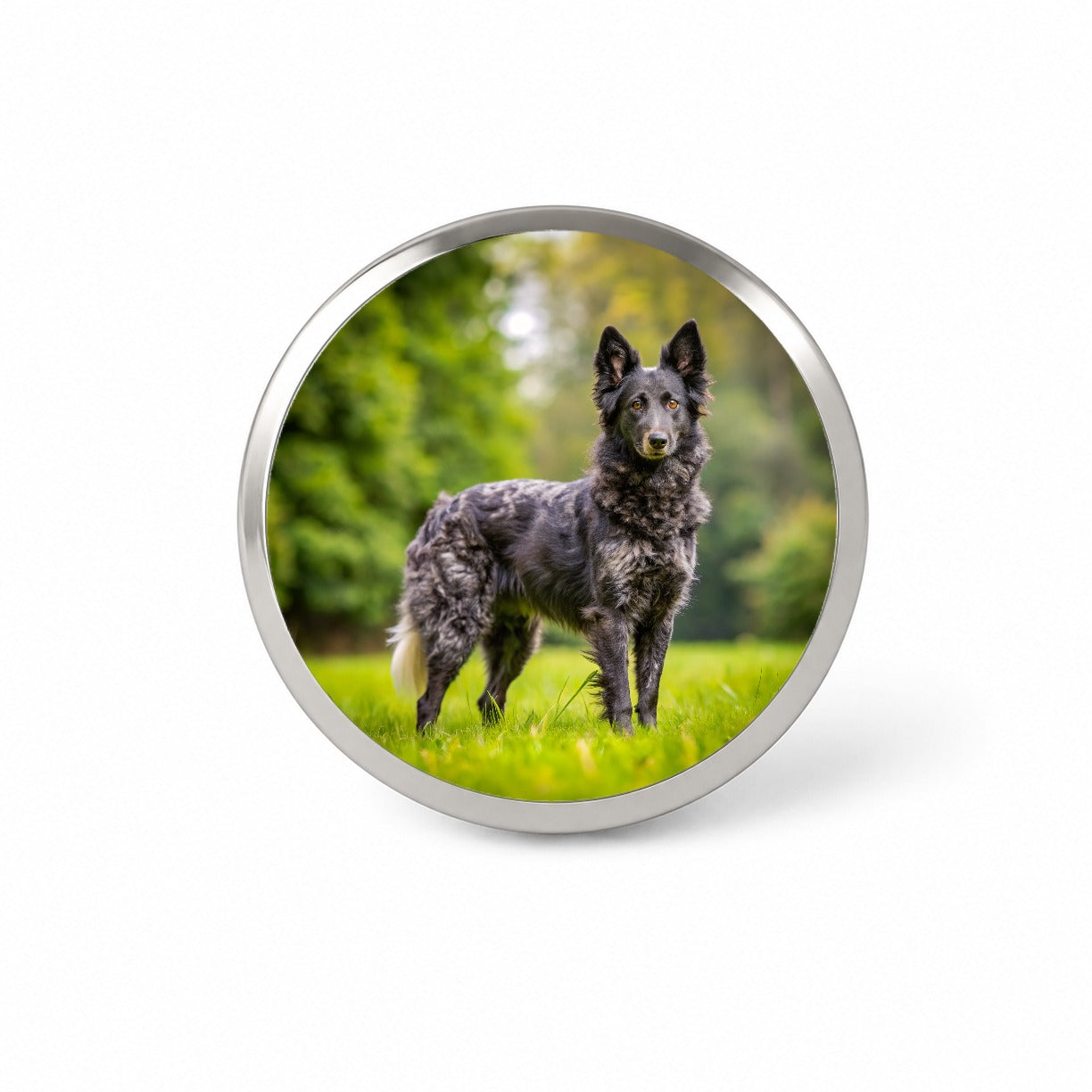 Mudi Dog Photo Novelty Hat Backpack Lapel Pin