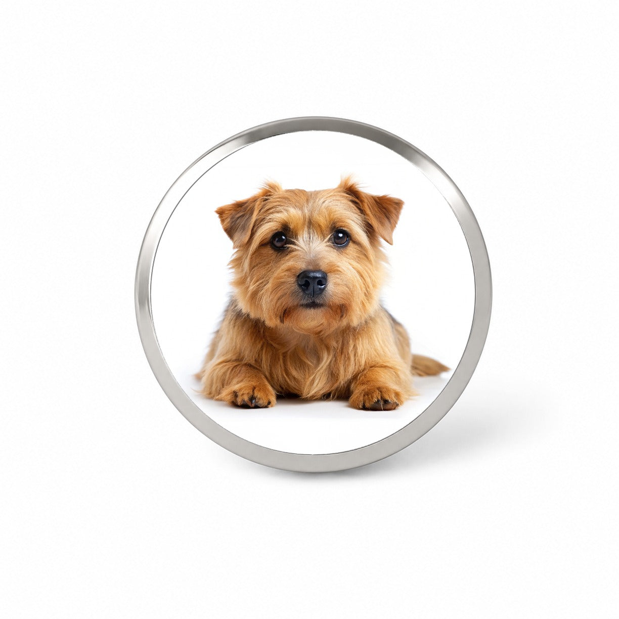 Norfolk Terrier Dog Photo Novelty Hat Backpack Lapel Pin
