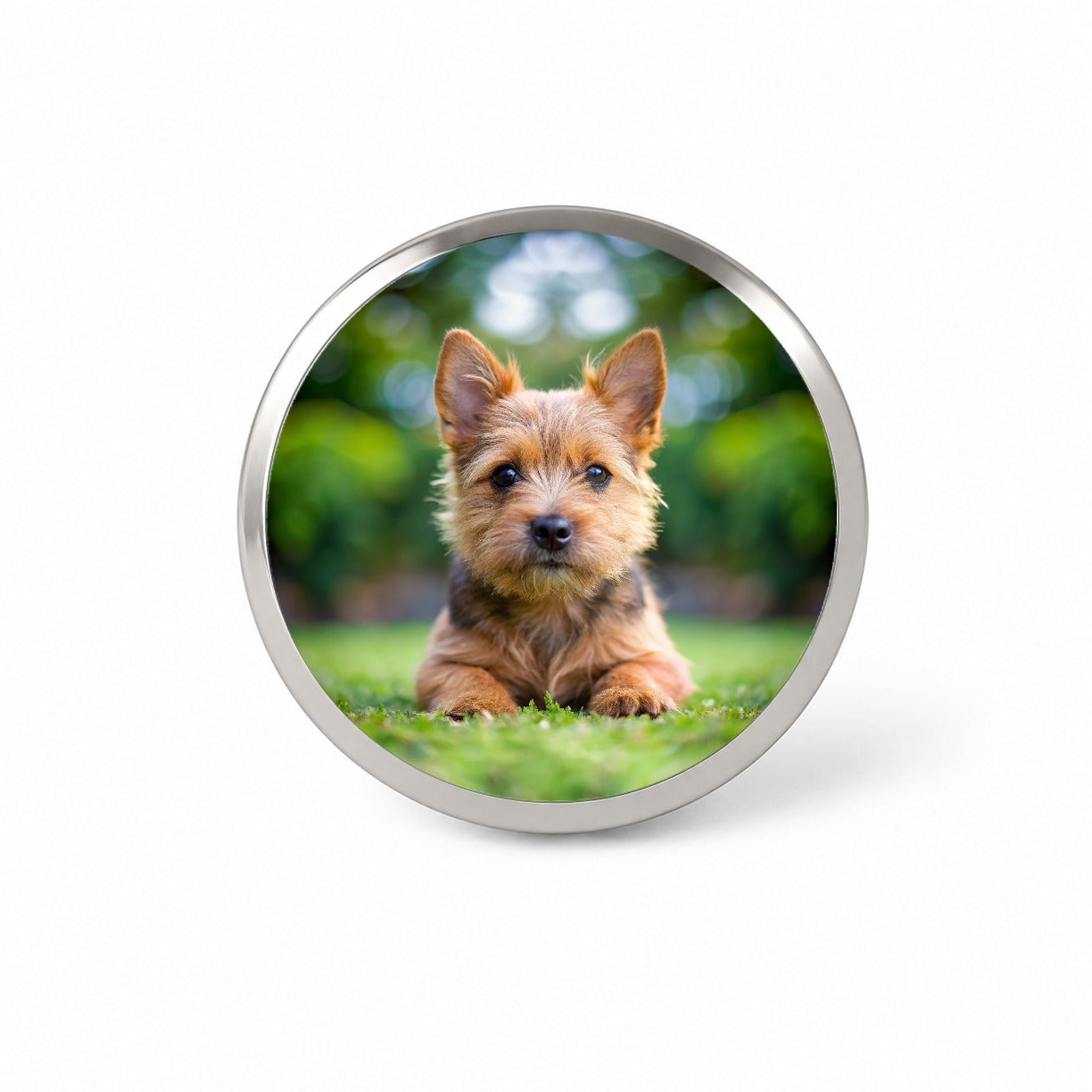 Norwich Terrier Dog Puppy Photo Novelty Hat Backpack Lapel Pin