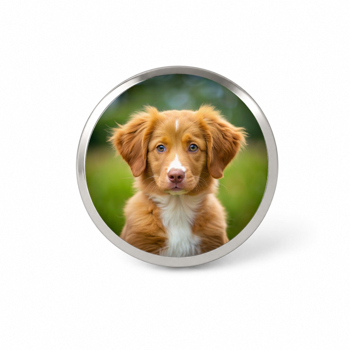 Nova Scotia Duck Tolling Retriever Dog Puppy Photo Novelty Hat Backpack Lapel Pin