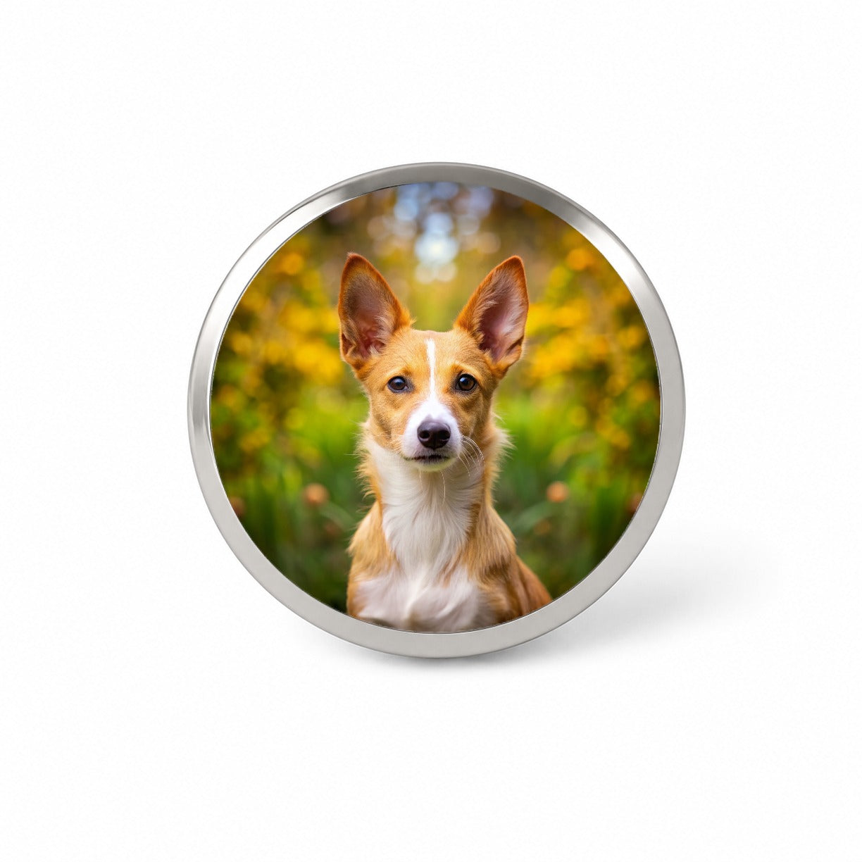 Portuguese Podengo Pequeno Dog Photo Novelty Hat Backpack Lapel Pin