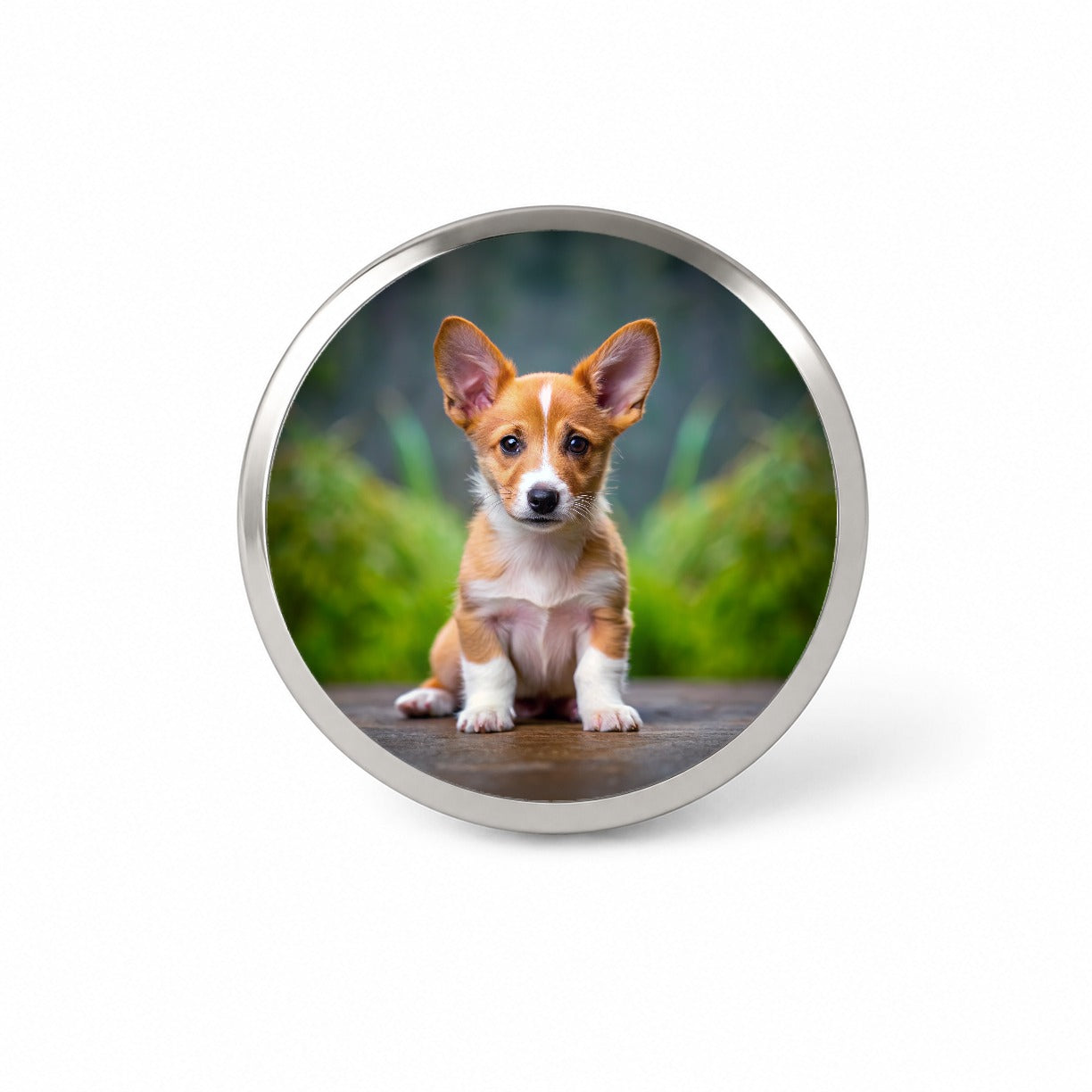 Portuguese Podengo Pequeno Dog Puppy Photo Novelty Hat Backpack Lapel Pin