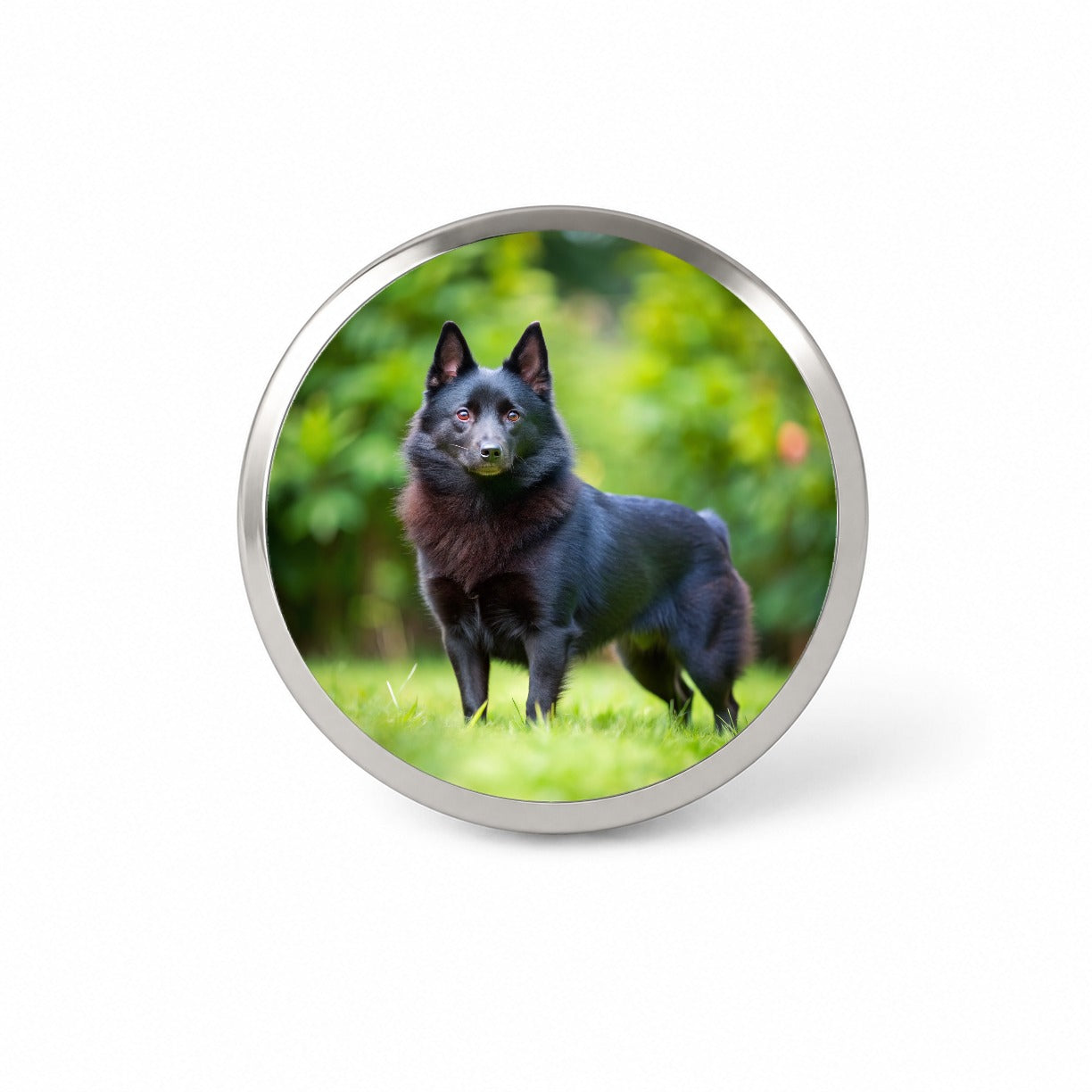 Schipperke Dog Photo Novelty Hat Backpack Lapel Pin