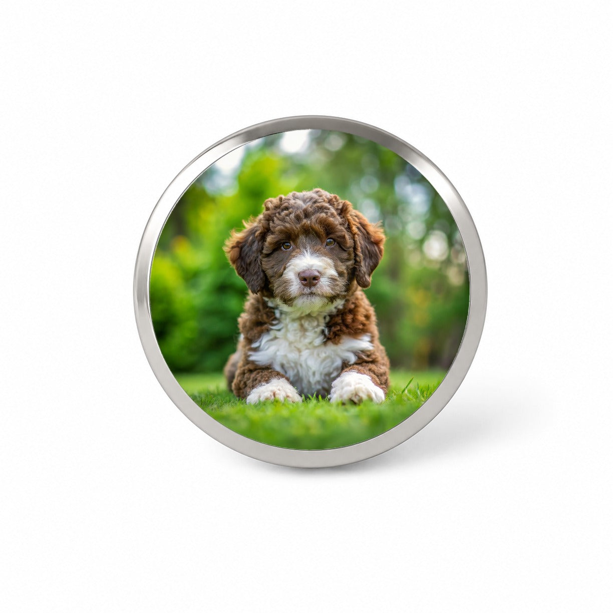 Spanish Water Dog Puppy Photo Novelty Hat Backpack Lapel Pin