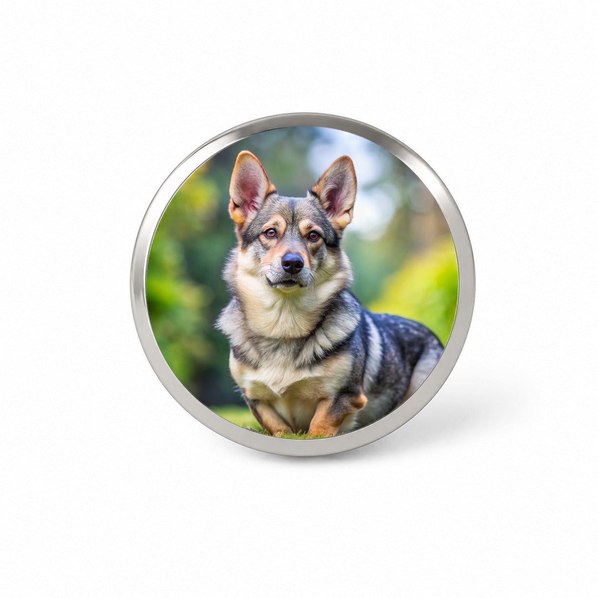 Swedish Vallhund Dog Photo Novelty Hat Backpack Lapel Pin