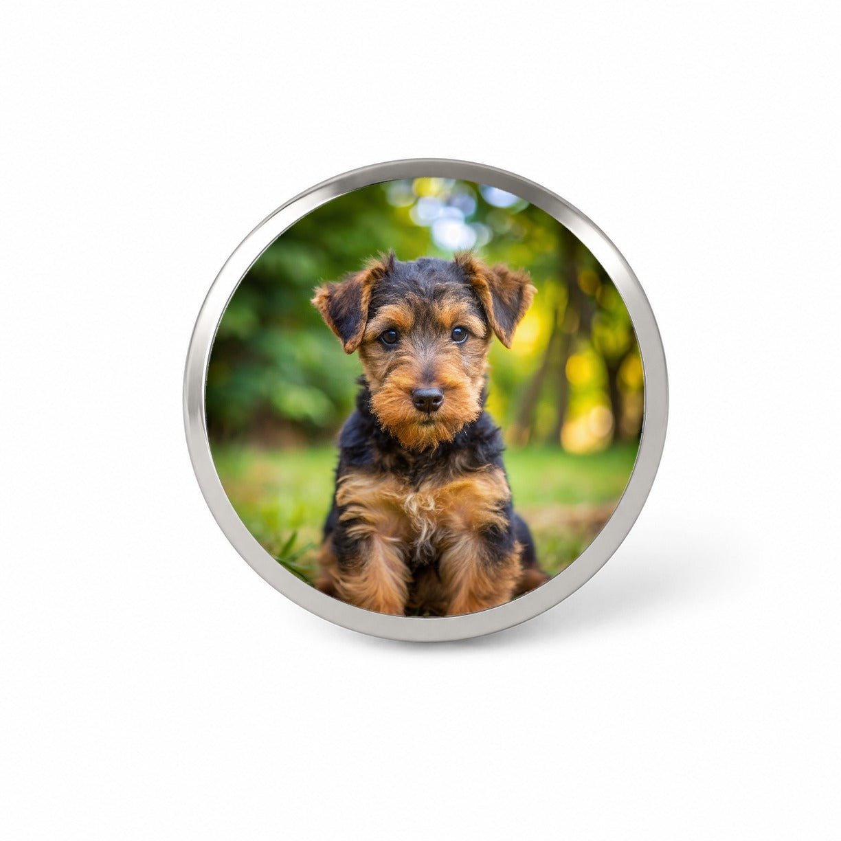 Welsh Terrier Dog Puppy Photo Novelty Hat Backpack Lapel Pin