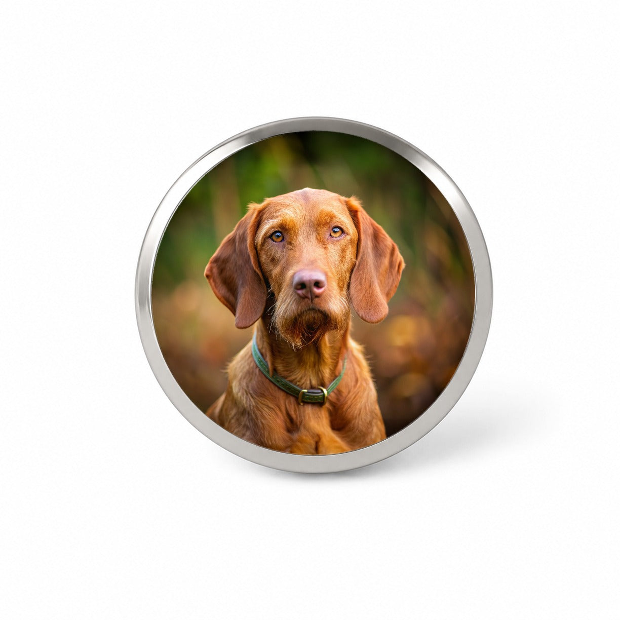Wirehaired Vizsla Dog Photo Novelty Hat Backpack Lapel Pin