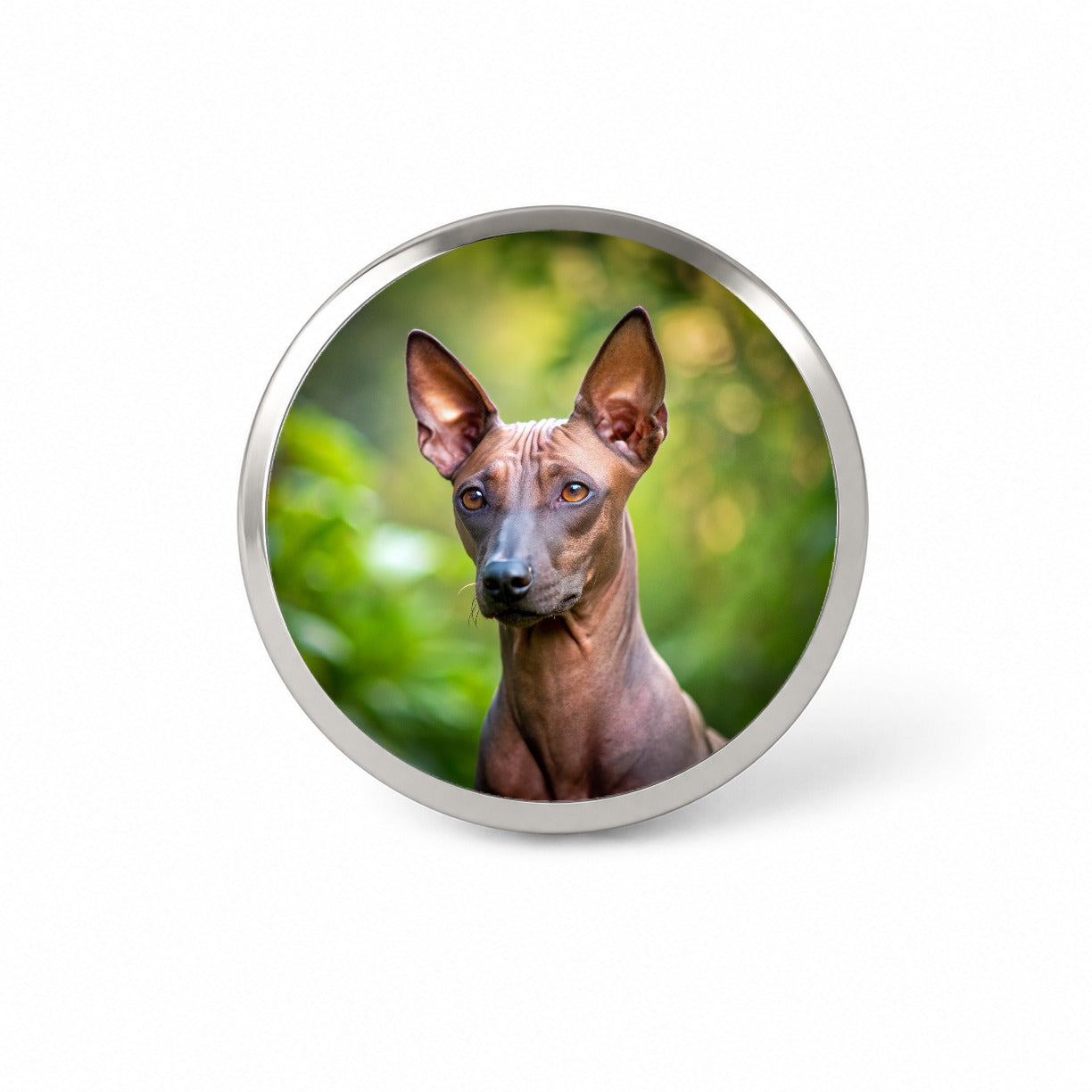 Xoloitzcuintli Xolo Mexican Hairless Dog Photo Novelty Hat Backpack Lapel Pin
