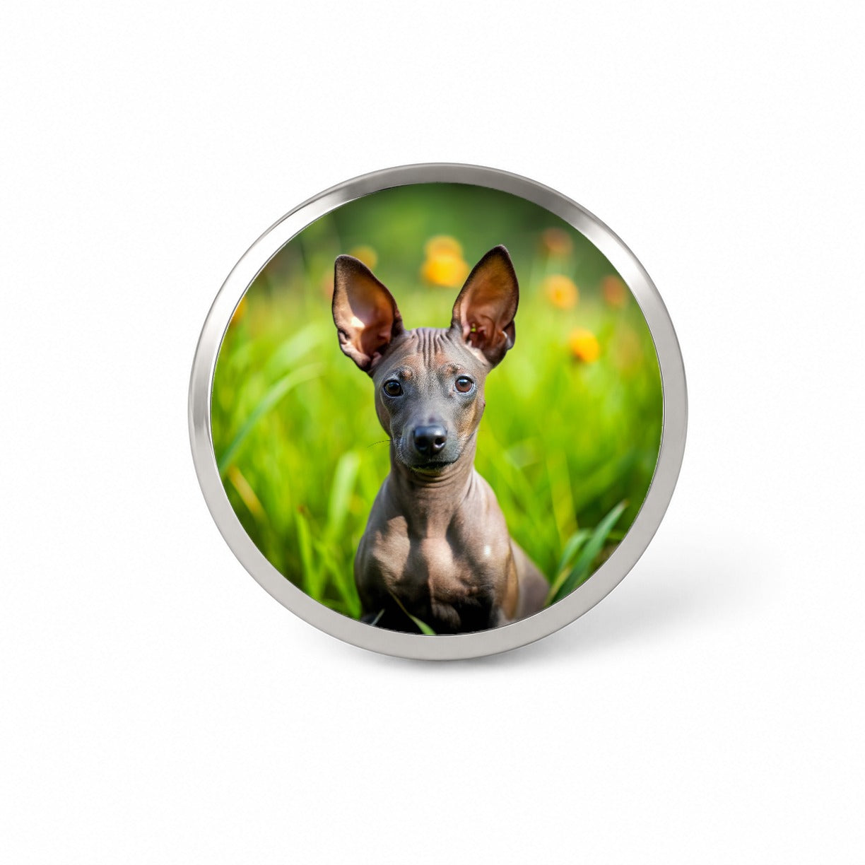 Xoloitzcuintli Xolo Mexican Hairless Dog Puppy Photo Novelty Hat Backpack Lapel Pin