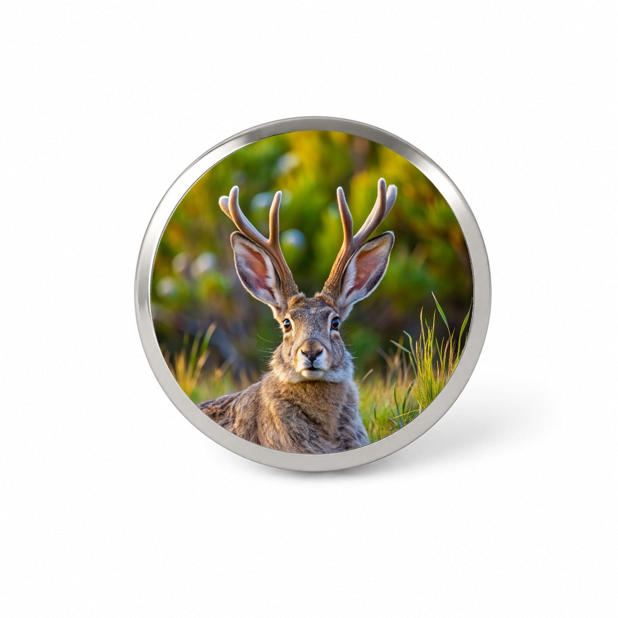 Jackalope In The Wild Novelty Hat Backpack Lapel Pin