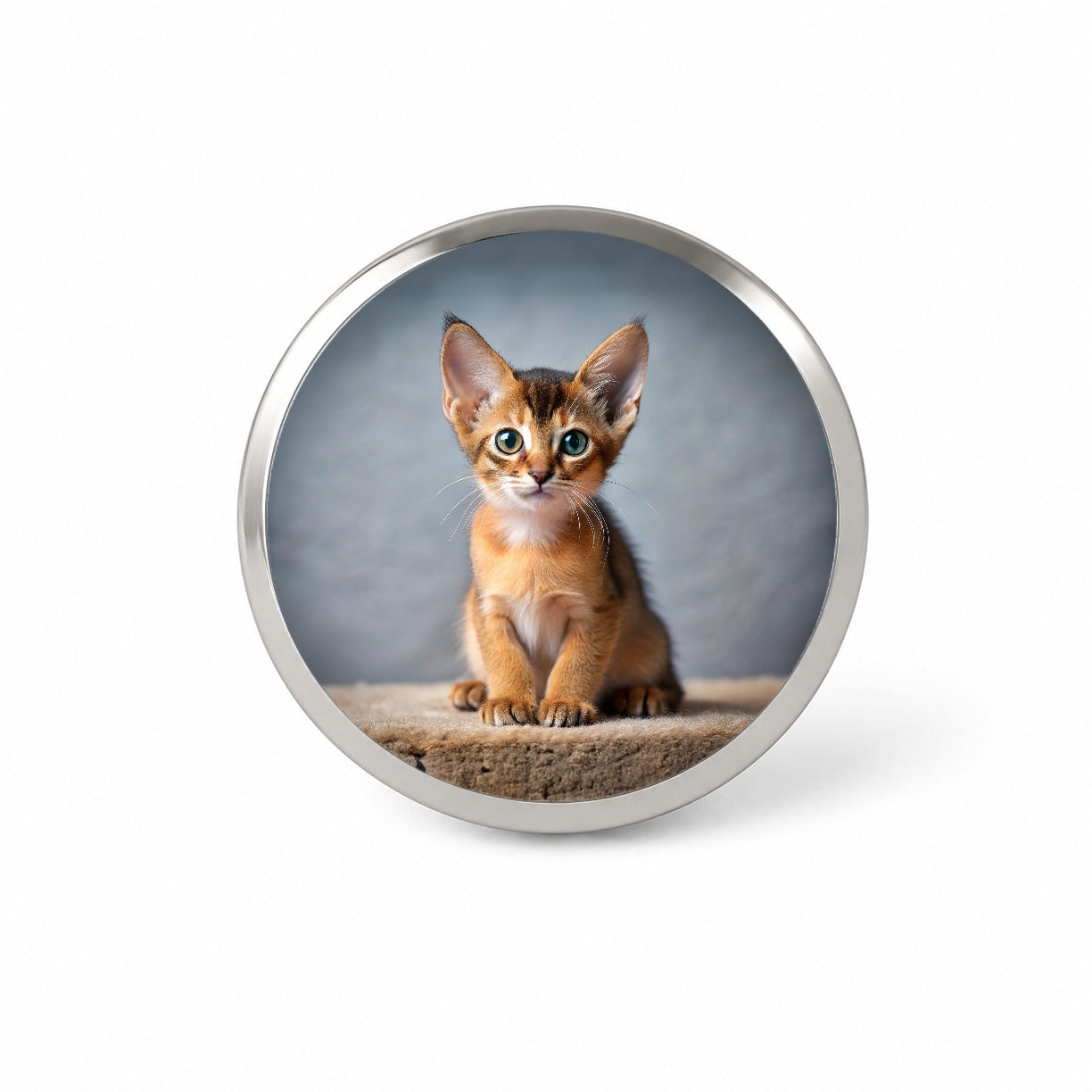 Abyssinian Cat Kitten Photo Novelty Hat Backpack Lapel Pin