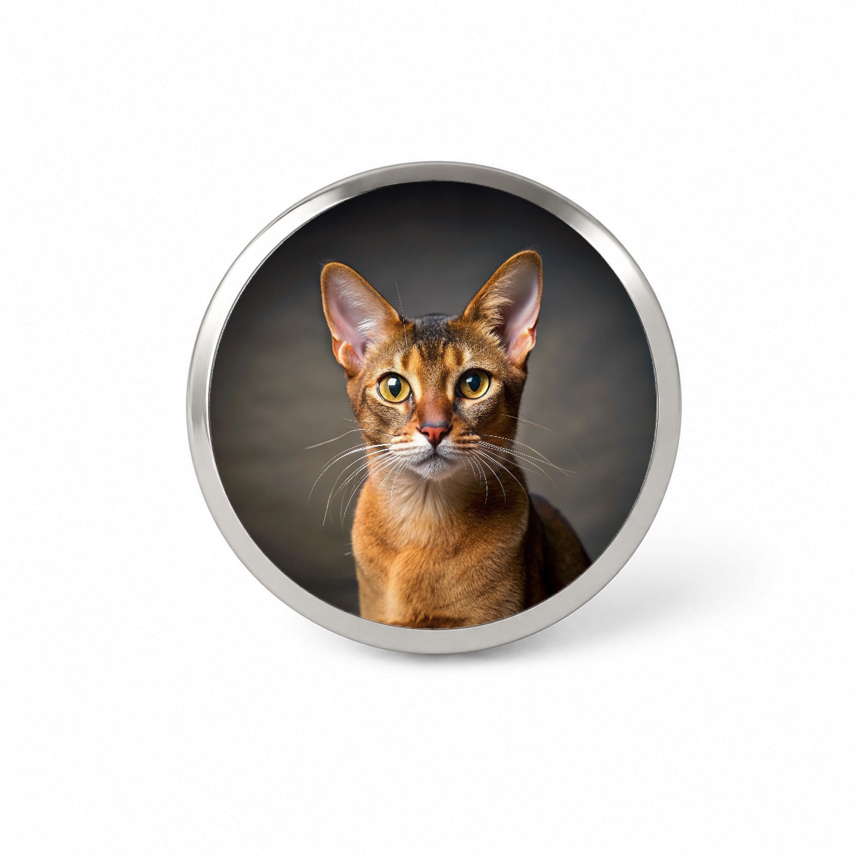 Abyssinian Cat Photo Novelty Hat Backpack Lapel Pin