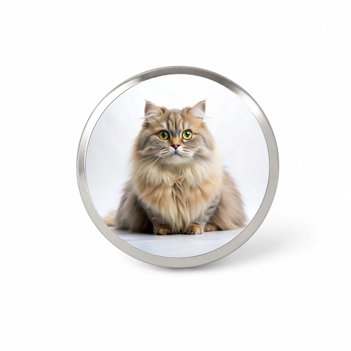 British Longhair Cat Photo Novelty Hat Backpack Lapel Pin