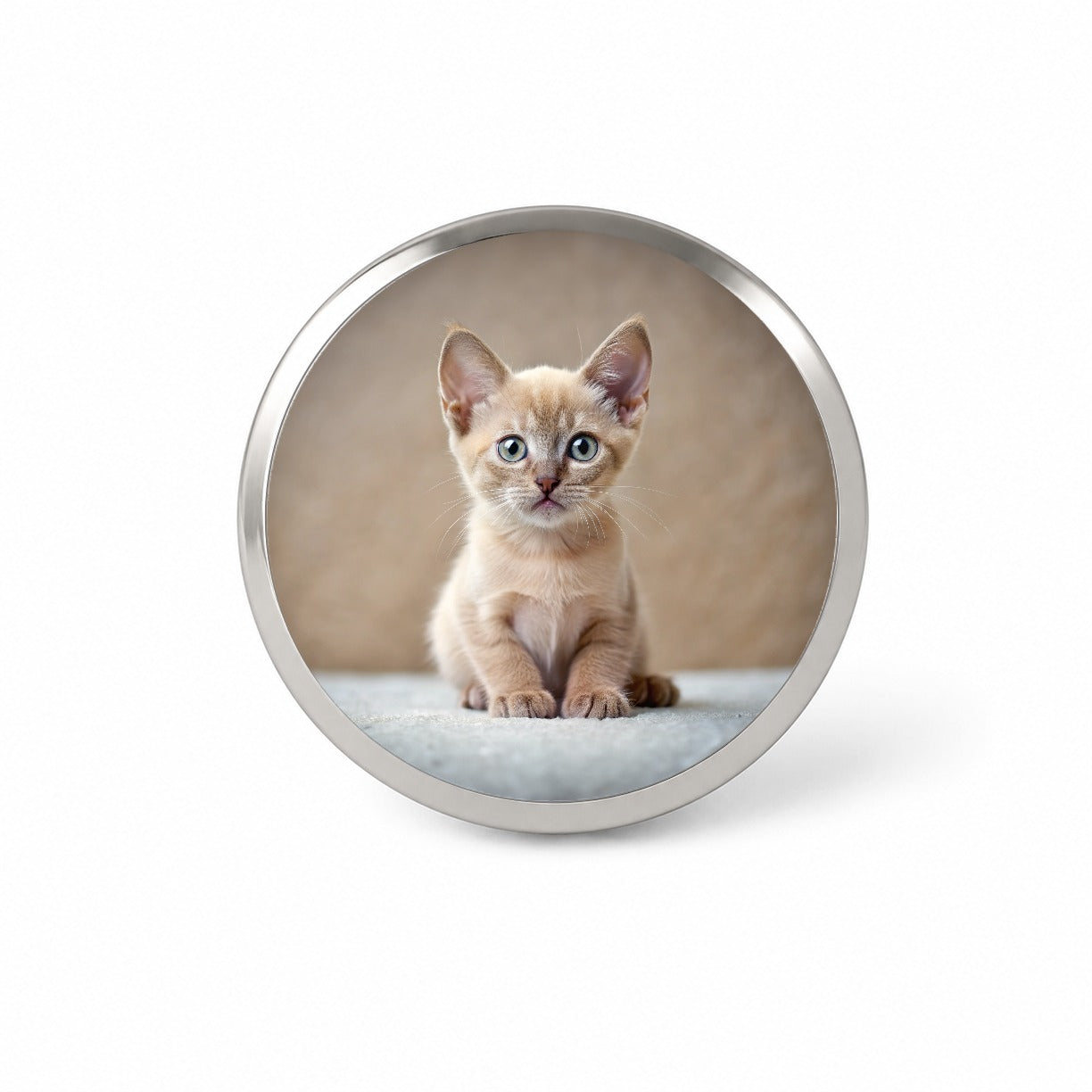 Burmese Cat Kitten Photo Novelty Hat Backpack Lapel Pin