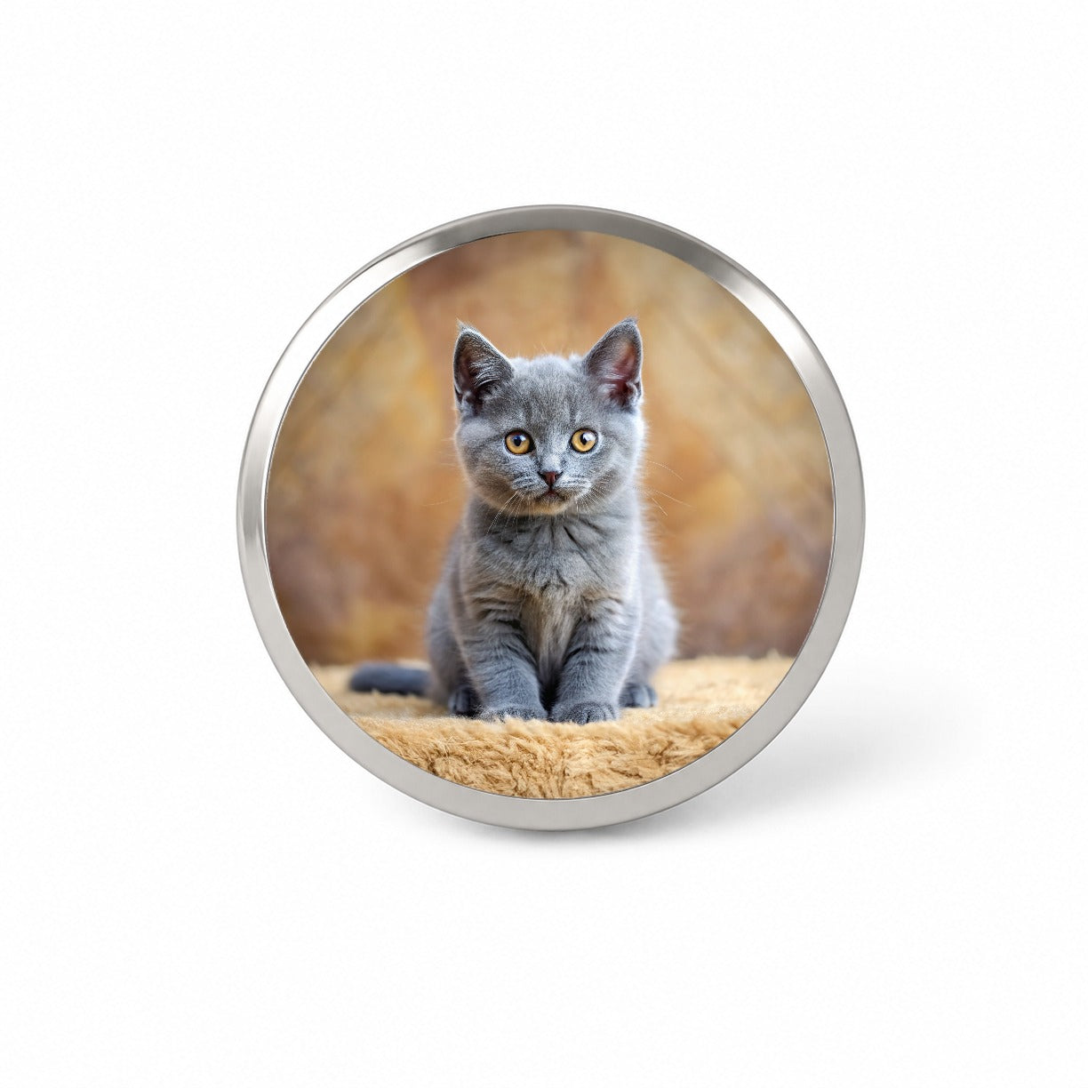 Chartreux Cat Kitten Photo Novelty Hat Backpack Lapel Pin
