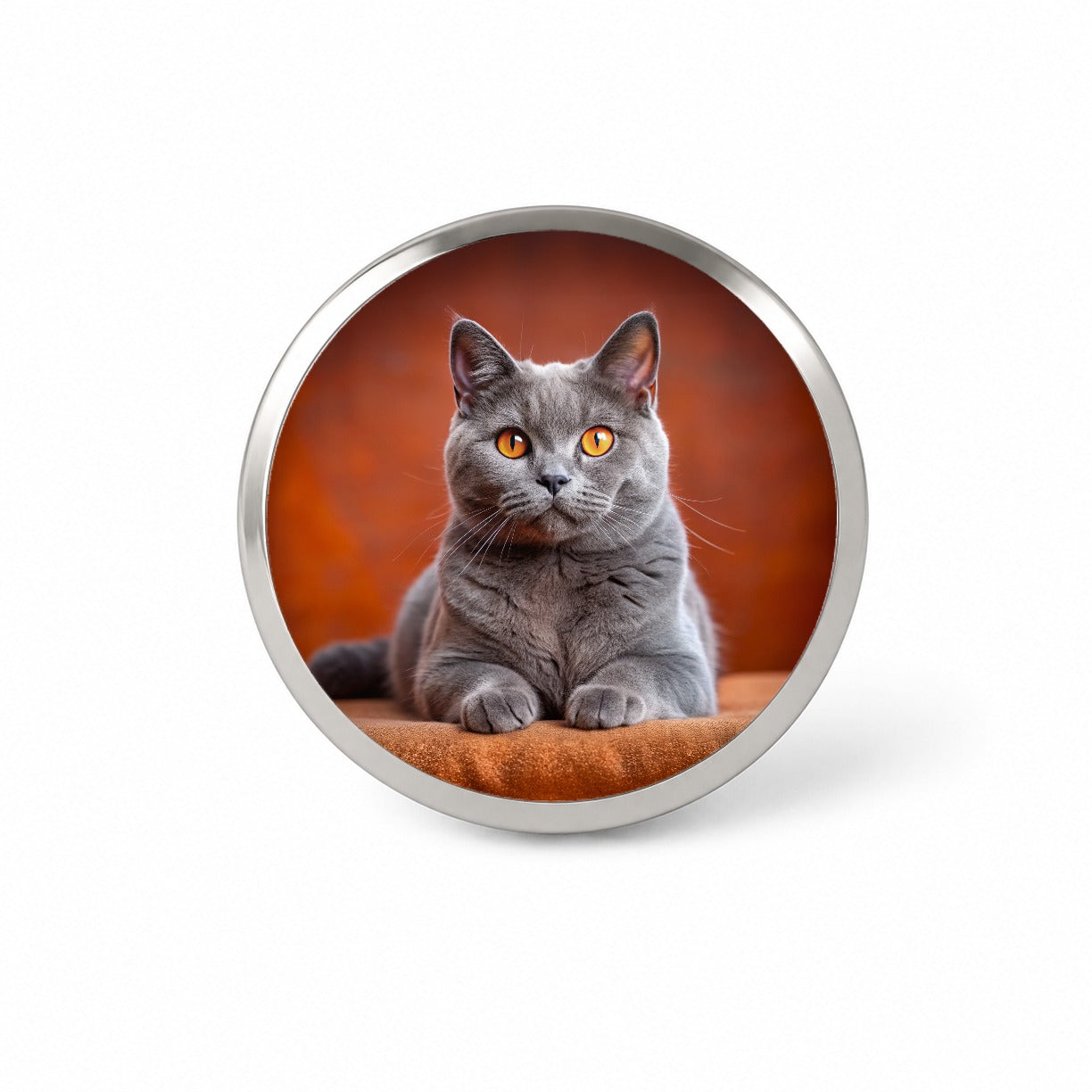 Chartreux Cat Photo Novelty Hat Backpack Lapel Pin
