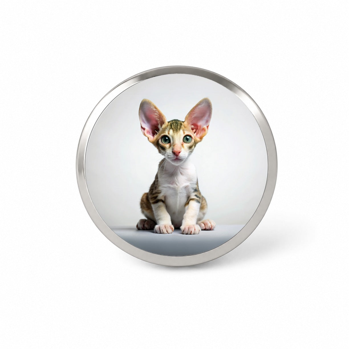 Cornish Rex Cat Kitten Photo Novelty Hat Backpack Lapel Pin