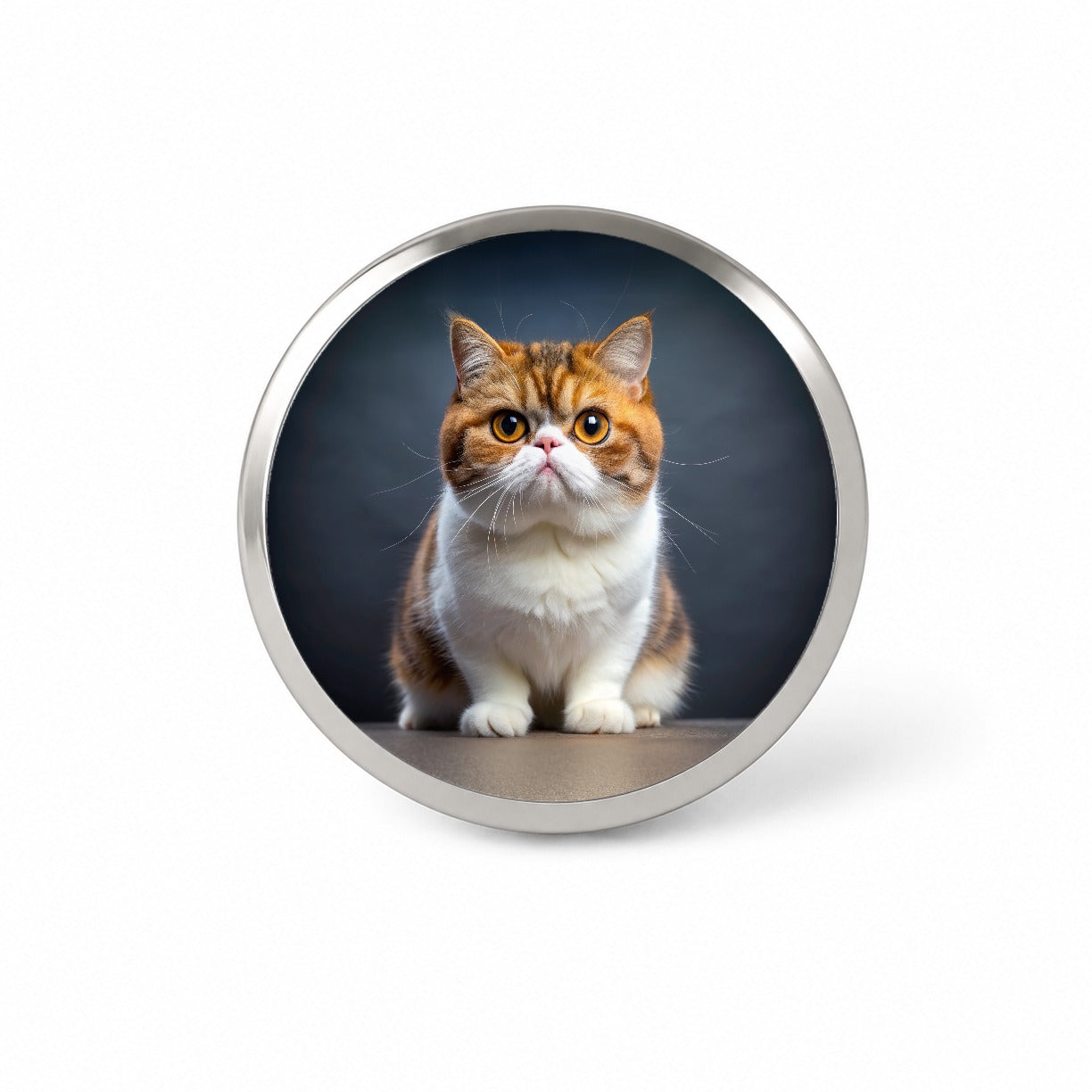 Exotic Shorthair Cat Photo Novelty Hat Backpack Lapel Pin