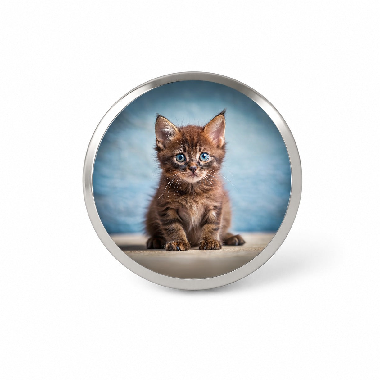 Havana Brown Cat Kitten Photo Novelty Hat Backpack Lapel Pin