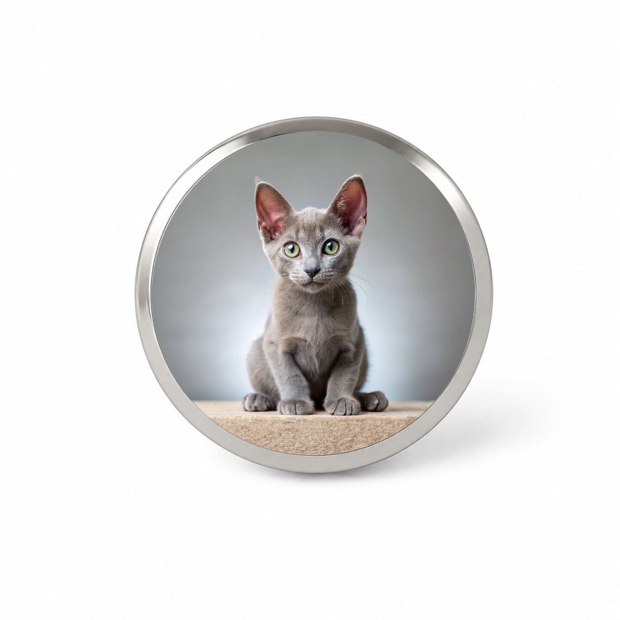 Korat Cat Kitten Photo Novelty Hat Backpack Lapel Pin