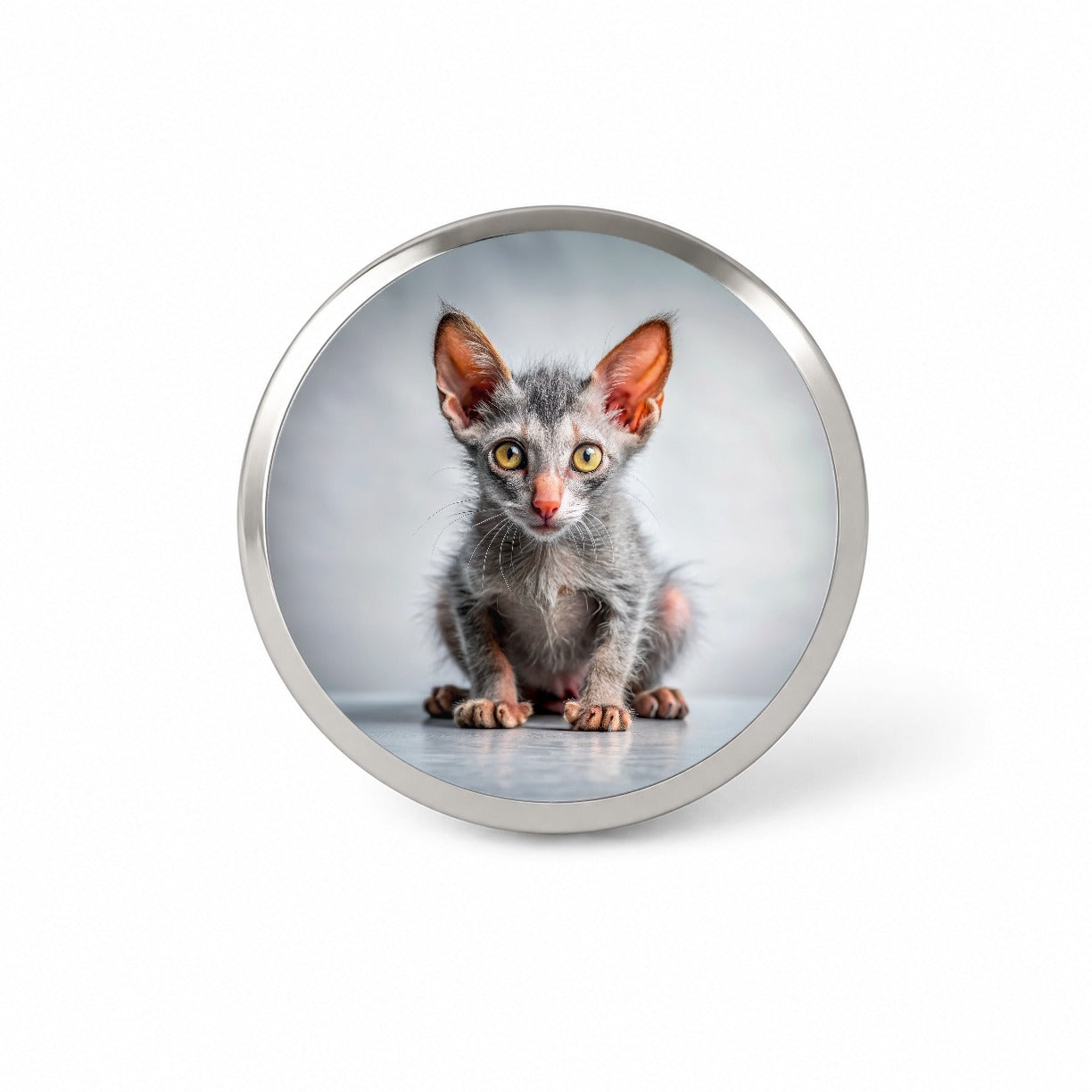 Lykoi Wolf Cat Kitten Photo Novelty Hat Backpack Lapel Pin