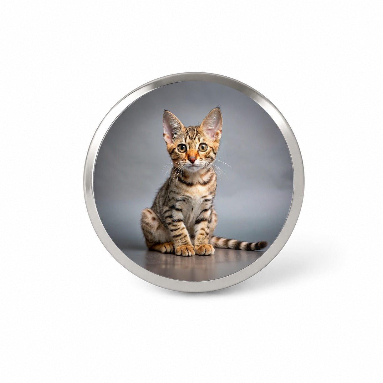 Ocicat Cat Kitten Photo Novelty Hat Backpack Lapel Pin