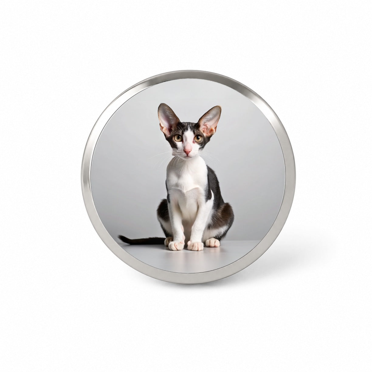 Oriental Shorthair Black White Cat Photo Novelty Hat Backpack Lapel Pin