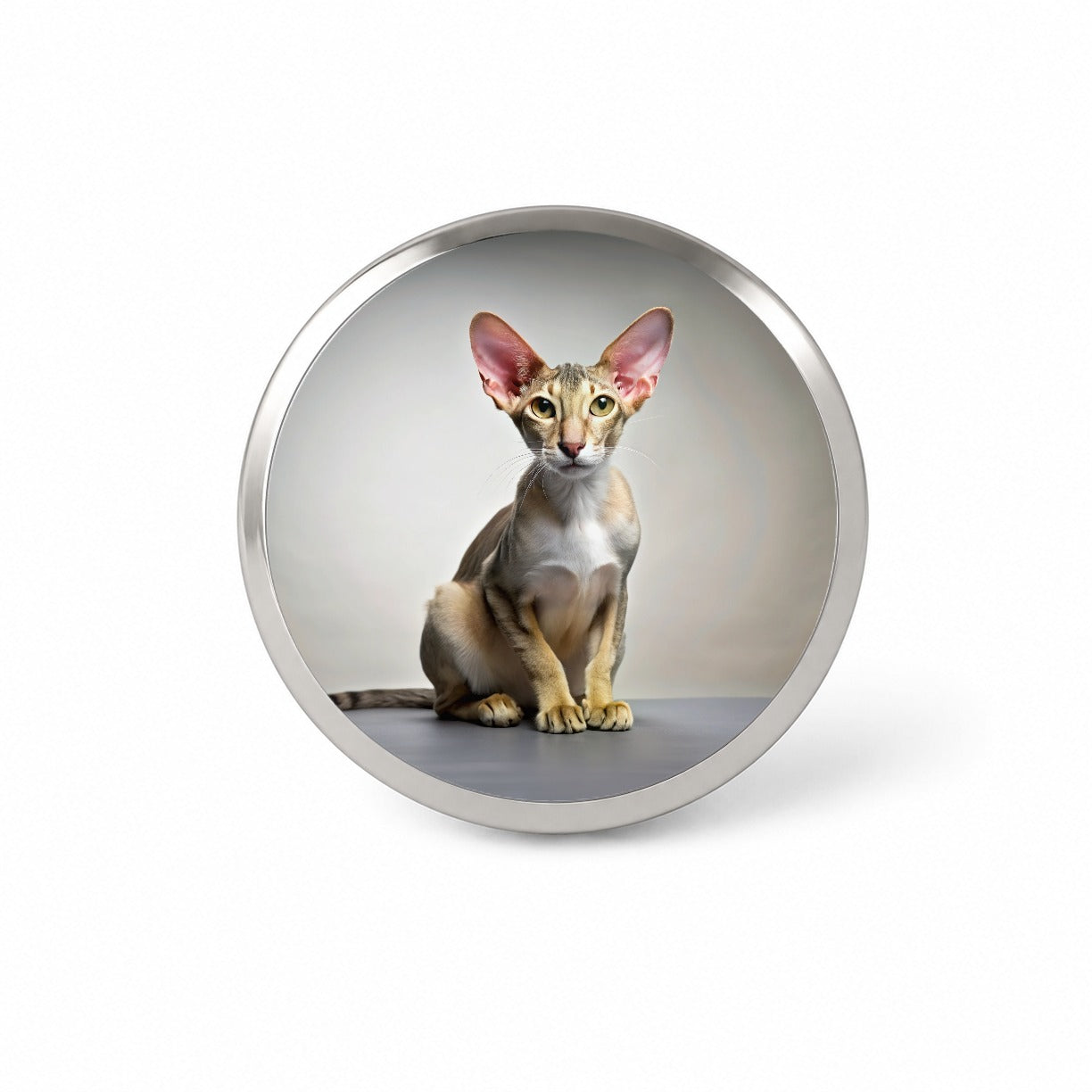 Oriental Shorthair Cat Photo Novelty Hat Backpack Lapel Pin
