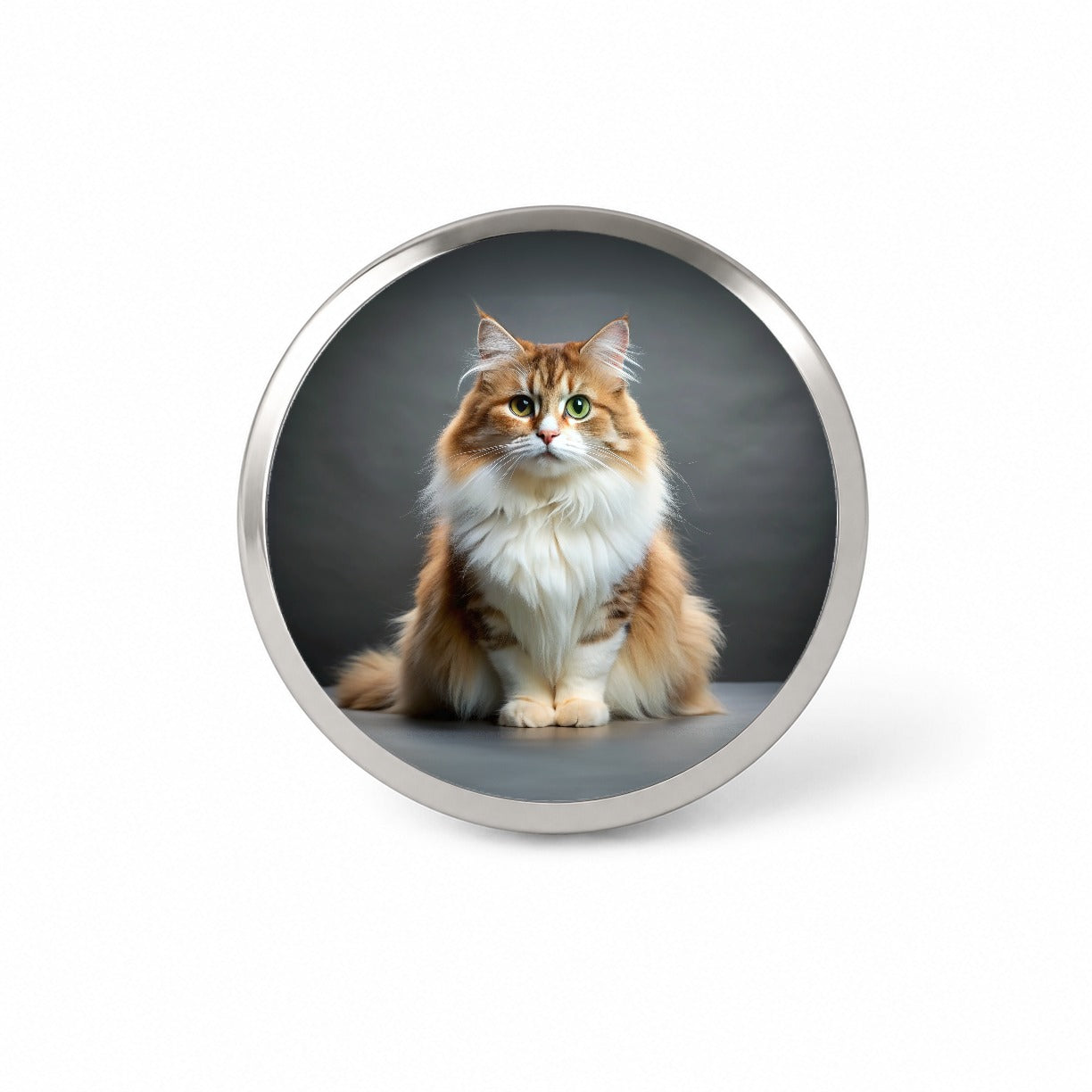 Ragamuffin Cat Photo Novelty Hat Backpack Lapel Pin