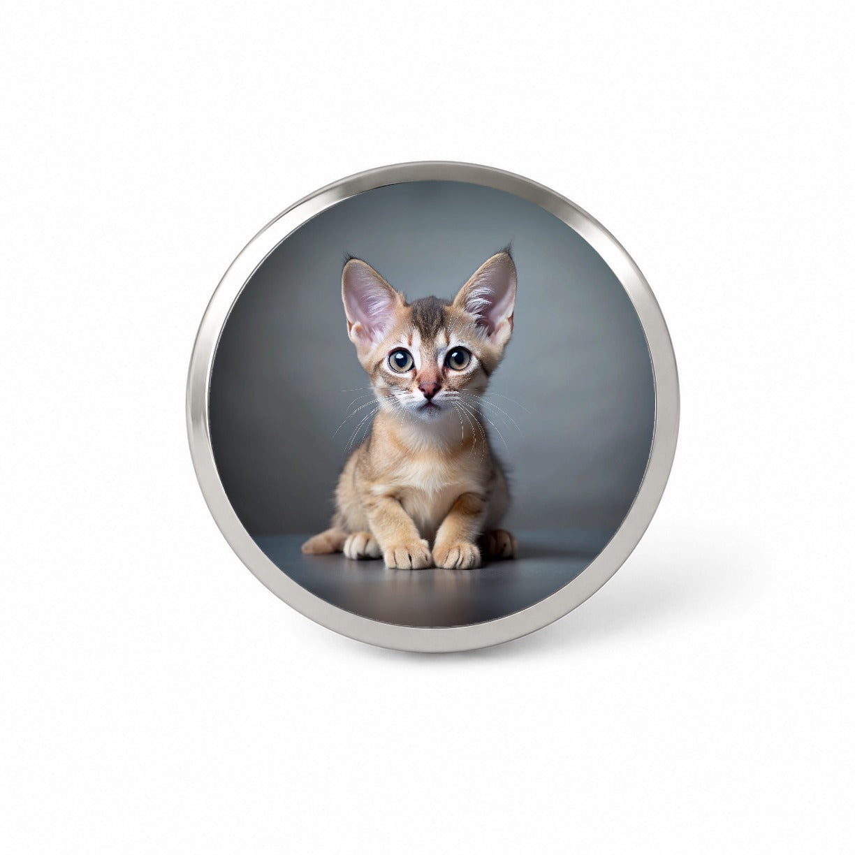 Singapura Cat Kitten Photo Novelty Hat Backpack Lapel Pin