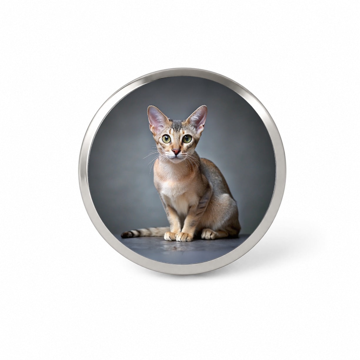Singapura Cat Photo Novelty Hat Backpack Lapel Pin
