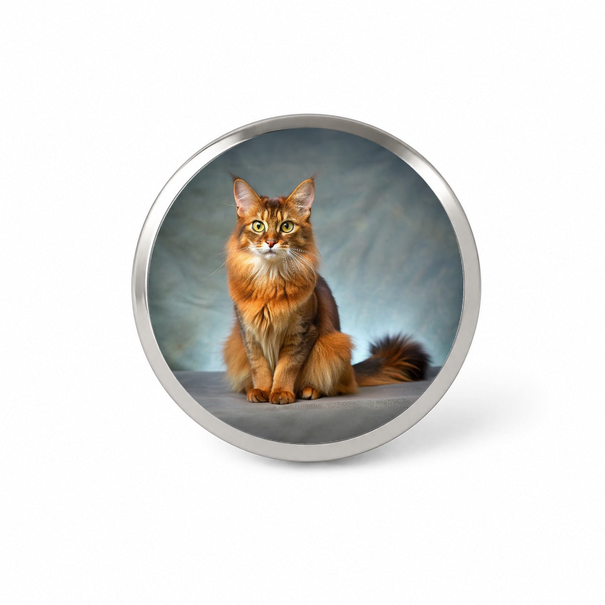 Somali Cat Kitten Photo Novelty Hat Backpack Lapel Pin