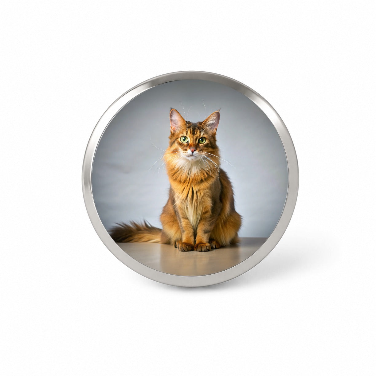 Somali Cat Photo Novelty Hat Backpack Lapel Pin
