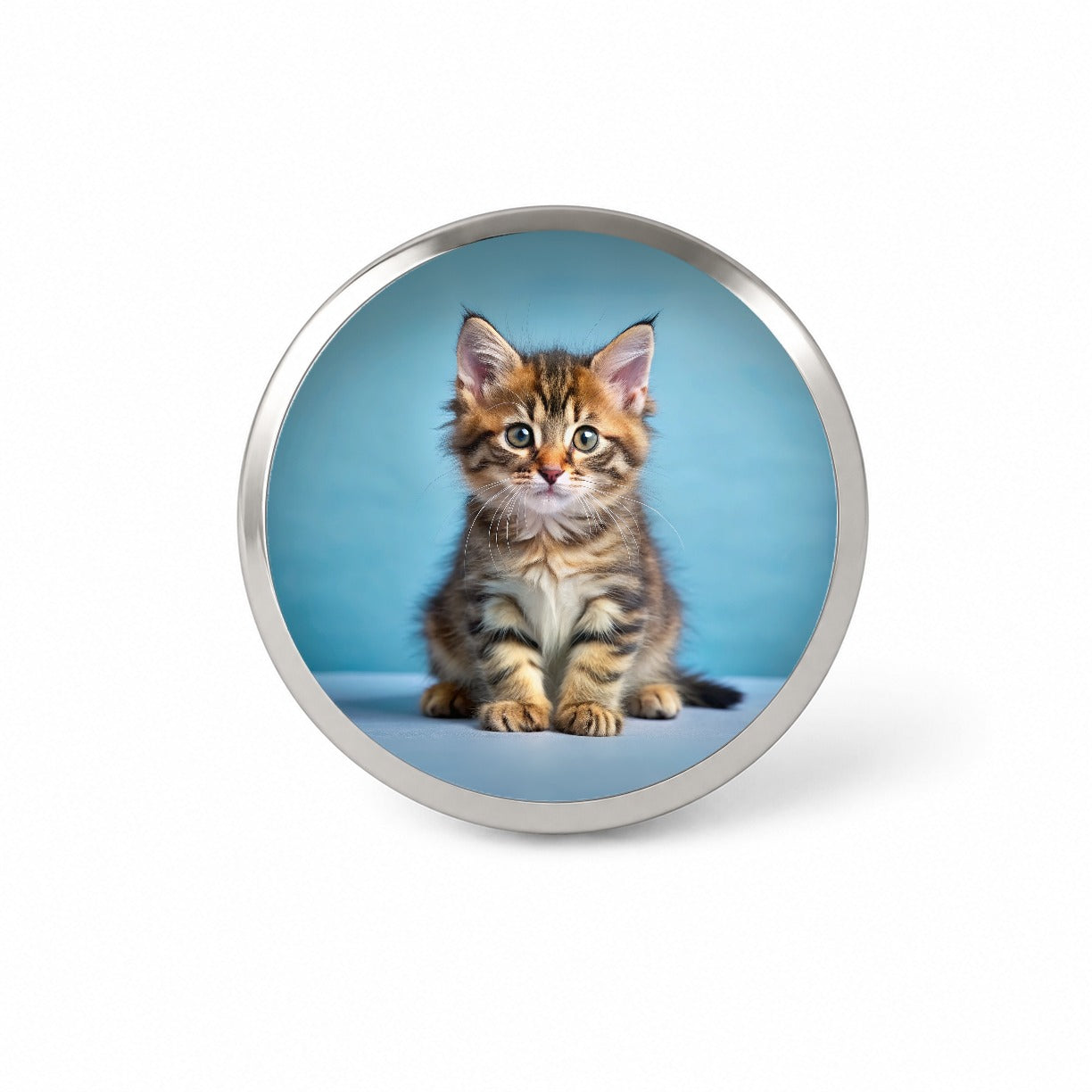 Cute Tabby Kitten Cat Photo Novelty Hat Backpack Lapel Pin