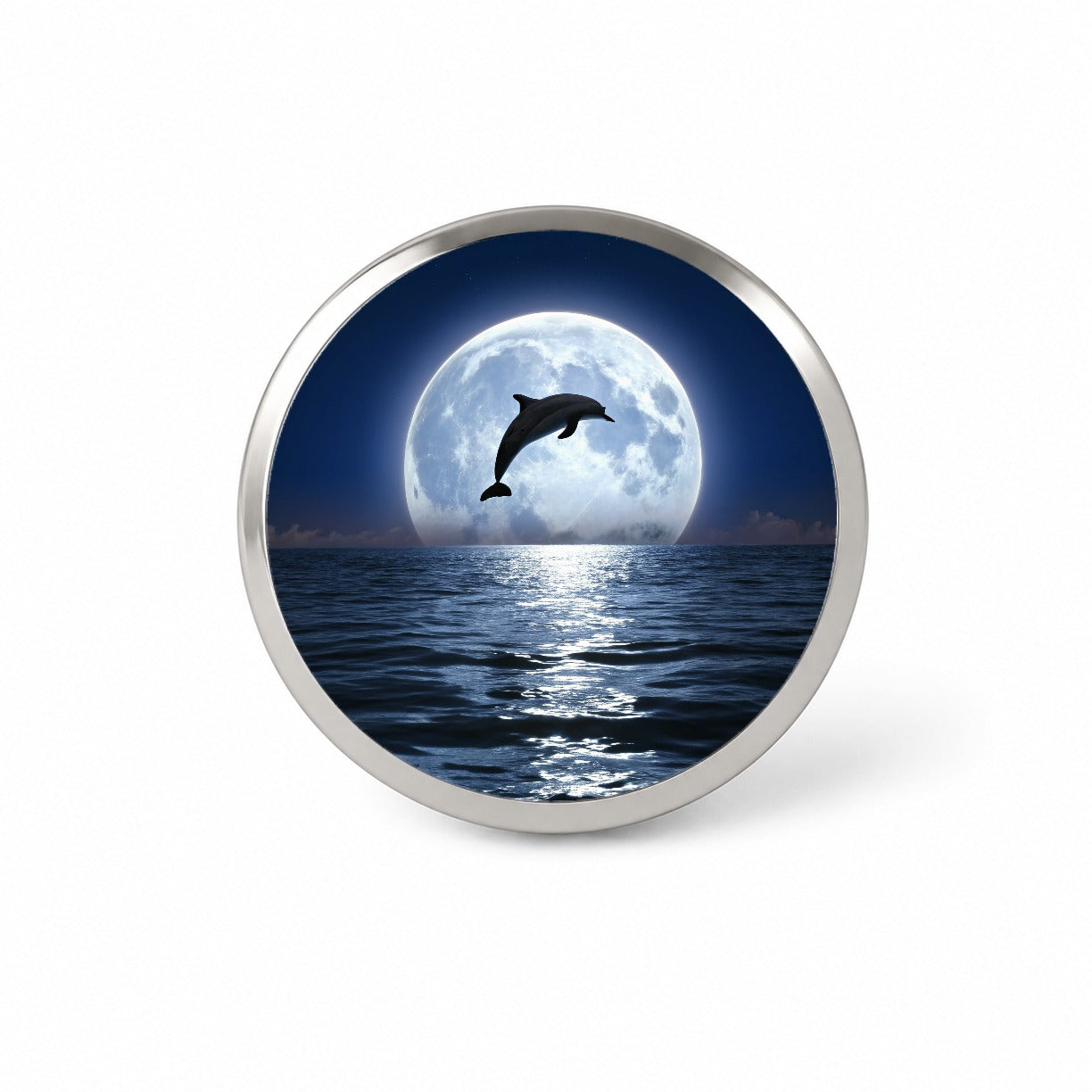 Dolphin Leaping Over Ocean Sea Full Moon Novelty Hat Backpack Lapel Pin