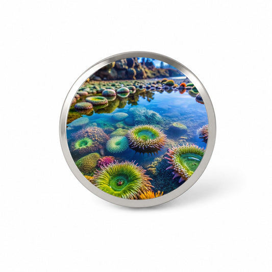 Colorful Ocean Beach Tide Pool Novelty Hat Backpack Lapel Pin