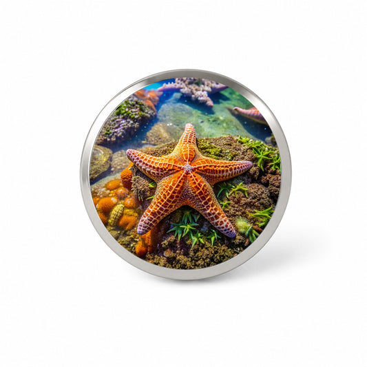 Starfish In Tide Pool Novelty Hat Backpack Lapel Pin