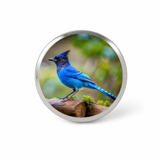 Stellar's Jay Backyard Bird Novelty Hat Backpack Lapel Pin