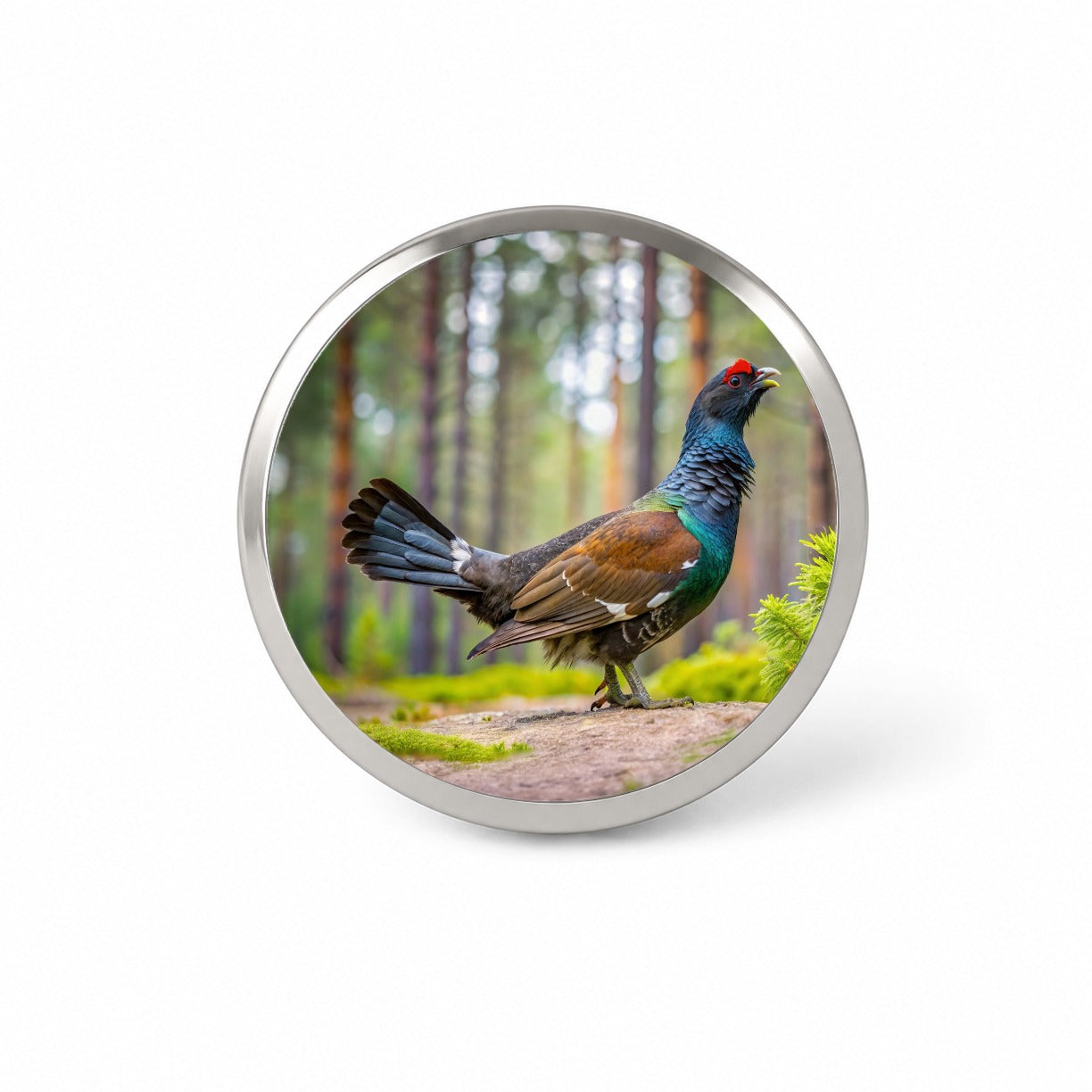 Western Capercaillie Wood Grouse Bird Novelty Hat Backpack Lapel Pin