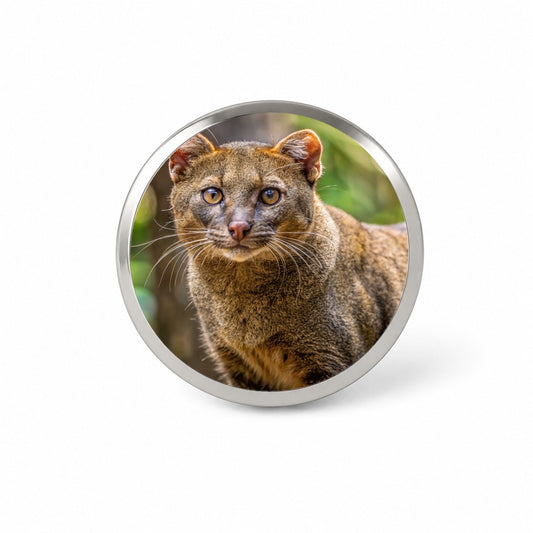 Jaguarundi Otter Cat Photo Novelty Hat Backpack Lapel Pin