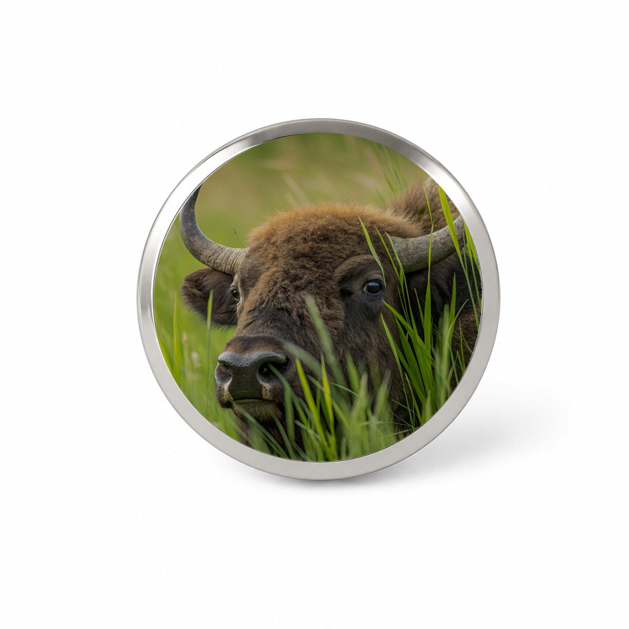 Bison Grassland Wildlife Scene Novelty Hat Backpack Lapel Pin