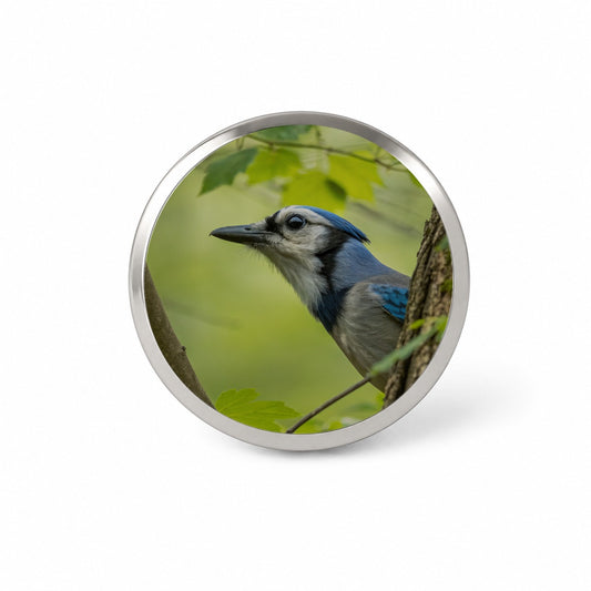 Blue Jay Bird Wildlife Novelty Hat Backpack Lapel Pin