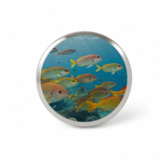 School of Fish Underwater Tropical Novelty Hat Backpack Lapel Pin