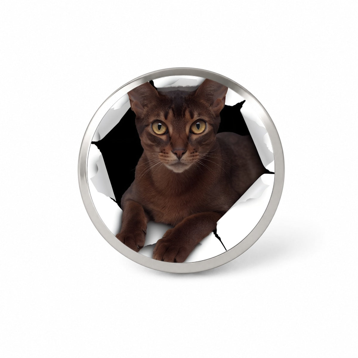 Abyssinian Cat Breakout Novelty Hat Backpack Lapel Pin